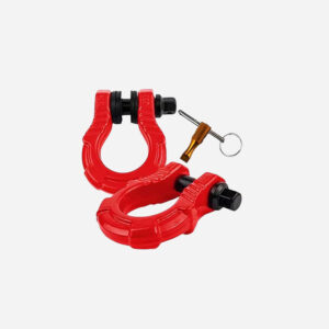 Anti-Theft D-Ring Shackle